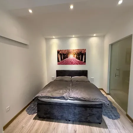 Lilly 브라티슬라바